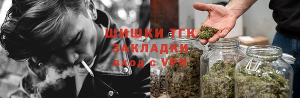 твердый Аркадак