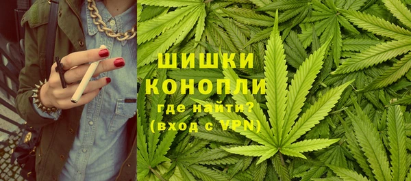 твердый Аркадак