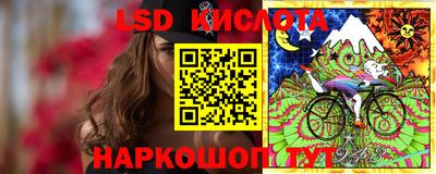 ПСИЛОЦИБИНОВЫЕ ГРИБЫ Вязники