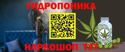 ПСИЛОЦИБИНОВЫЕ ГРИБЫ Вязники