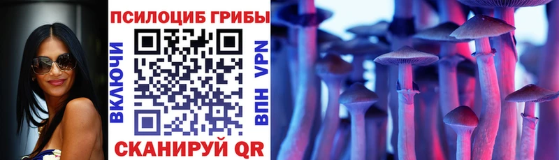 Псилоцибиновые грибы Cubensis  MEGA зеркало  Бор 